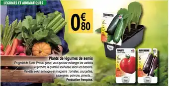 Tridôme Plants de légumes de semis offre