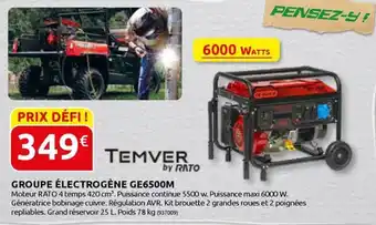 Rural Master GROUPE ÉLECTROGÈNE GE6500M offre