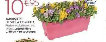 Truffaut Jardinière De Viola Cornuta offre