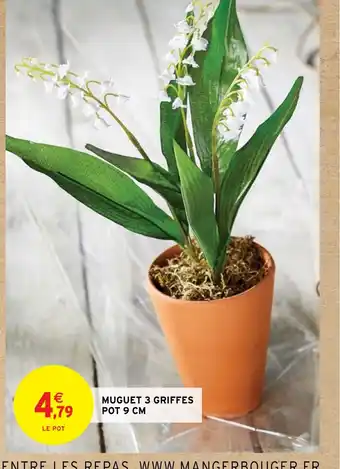 MUGUET 3 GRIFFES POT 9 CM