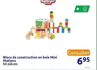Action Blocs de construction en bois mini matters offre