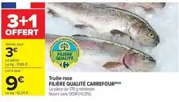 Carrefour Magret de canard offre