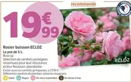 Carrefour Serviettes hygiéniques offre