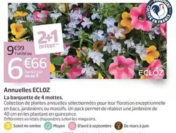 Carrefour Sucre offre
