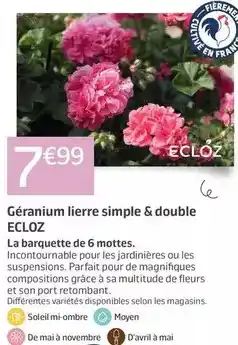 Carrefour Piles offre