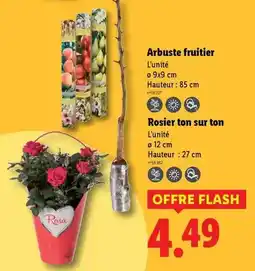 Auchan Freixenet - prosecco doc offre