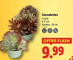 Auchan Gardenstar - taille-haie filaire 550 w offre