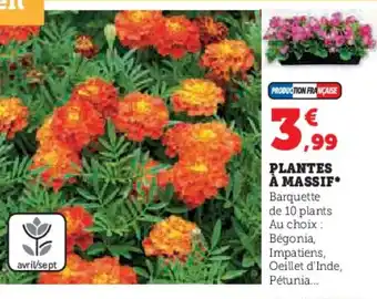 Hyper U PLANTES À MASSIF offre