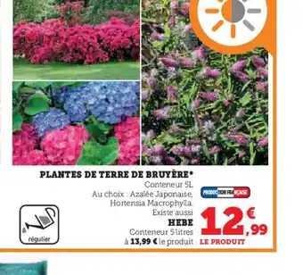 Hyper U PLANTES DE TERRE DE BRUYÈRE offre