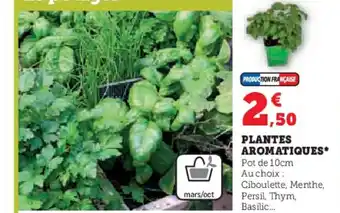 Hyper U PLANTES AROMATIQUES offre