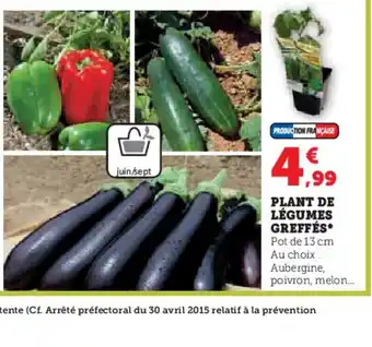 Hyper U PLANT DE LÉGUMES GREFFÉS offre