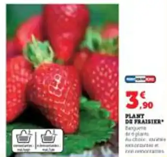 Super U PLANT DE FRAISIER offre