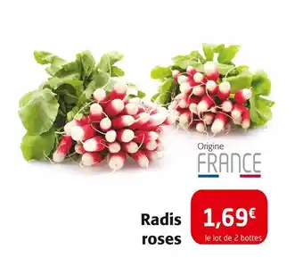 Colruyt Radis roses offre