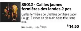 Thiriet 85012 Cailles jaunes fermières des landes 2 pcs offre