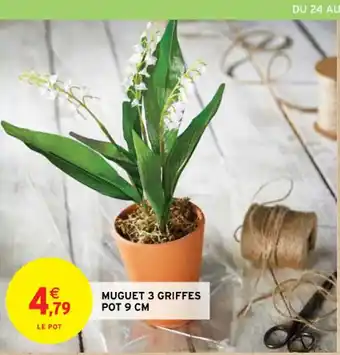 Intermarché Contact MUGUET 3 GRIFFES POT 9 CM offre