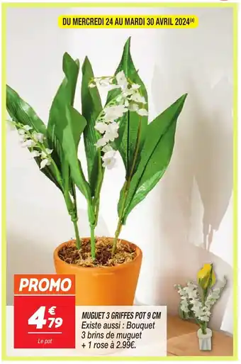 Netto MUGUET 3 GRIFFES POT 9 CM offre