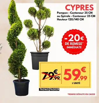 Trèfle Vert CYPRES offre