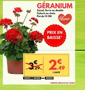 Trèfle Vert GÉRANIUM offre