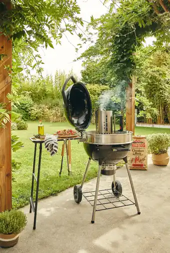 Gamm vert Barbecue à charbon Rodéo Pro 57 offre