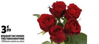 Auchan Bouquet de 5 roses très gros boutons offre
