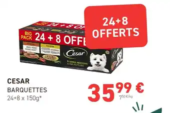 Tom&Co CESAR BARQUETTES offre