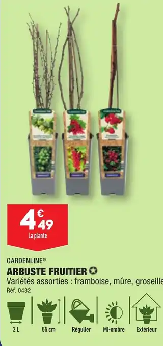 ALDI ARBUSTE FRUITIER ✪ offre