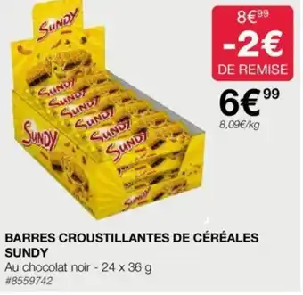 Costco BARRES CROUSTILLANTES DE CÉRÉALES SUNDY offre