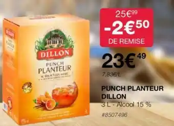 Costco PUNCH PLANTEUR DILLON offre