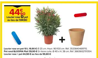 Castorama Laurier rose + pot offre