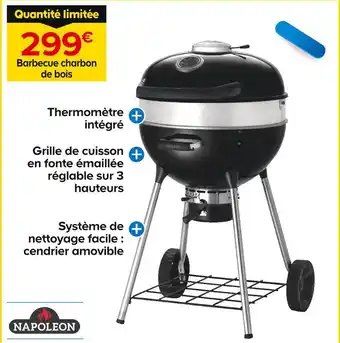 Castorama Napoleon Barbecue charbon de bois PRO22K-LEG-3 offre