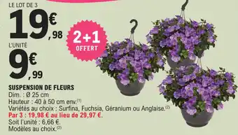 E.Leclerc SUSPENSION DE FLEURS Dim. : 0 25 cm offre