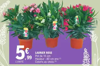 E.Leclerc LAURIER ROSE Pot de 15 cm Hauteur : 80 cm env. (1) Coloris au choix. (2) offre