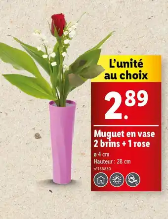 Lidl Muguet en vase 2 brins + 1 rose offre