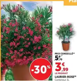 Carrefour Belviva - frites belges surgelées offre