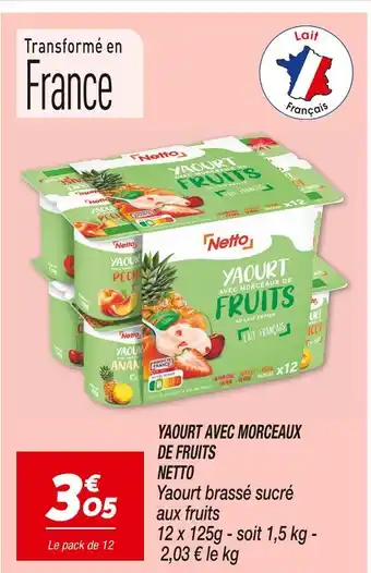 Netto NETTO YAOURT AVEC MORCEAUX DE FRUITS offre