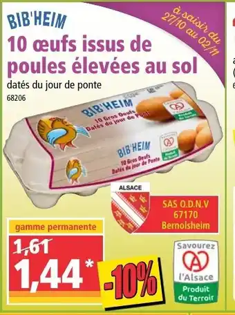 Norma 10 œufs issus de poules élevées au sol offre
