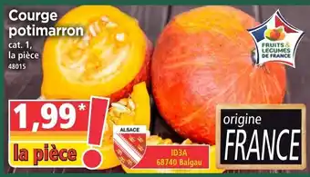 Courge potimarron