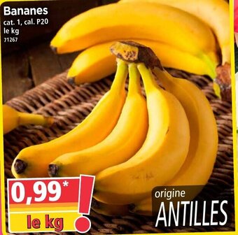 Norma Bananes offre