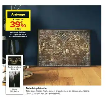 Toile map monde