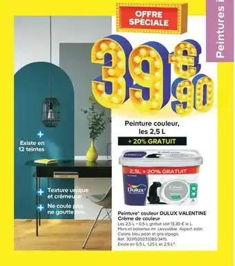 Castorama Peinture couleur offre