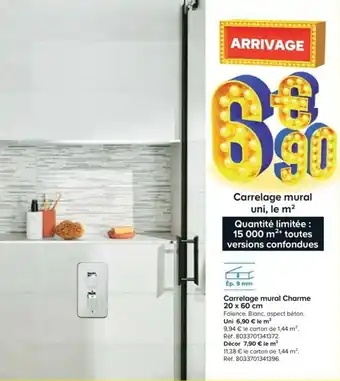 Carrelage mural charme