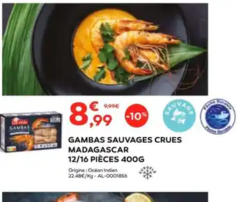 Cabesto GAMBAS SAUVAGES CRUES MADAGASCAR offre