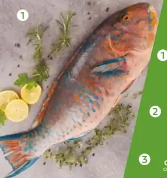 POISSONS PERROQUETS ENTIERS 800GR