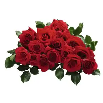 Auchan Bouquet De 15 Roses offre