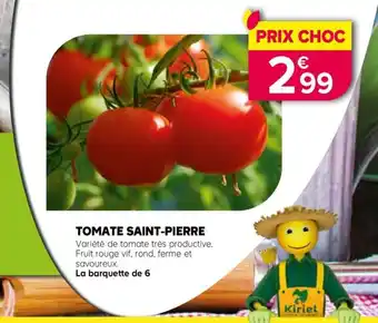 Kiriel TOMATE SAINT-PIERRE offre