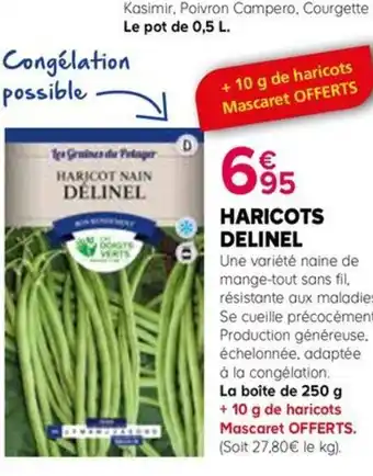 Kiriel HARICOTS DELINEL offre