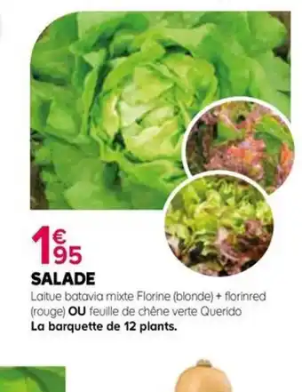 Kiriel SALADE offre