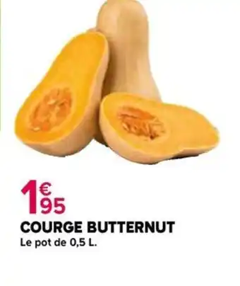 Kiriel COURGE BUTTERNUT offre