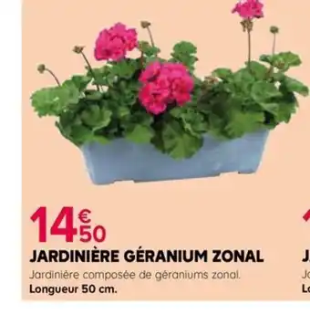 Kiriel JARDINIÈRE GÉRANIUM ZONAL offre