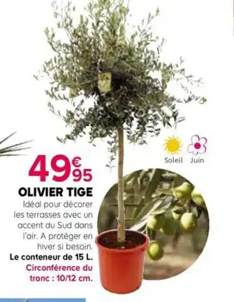 Kiriel OLIVIER TIGE offre